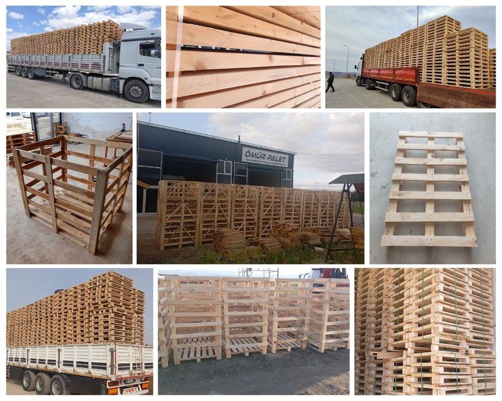 Carlentini Palette Europe, Acheter des palettes en gros